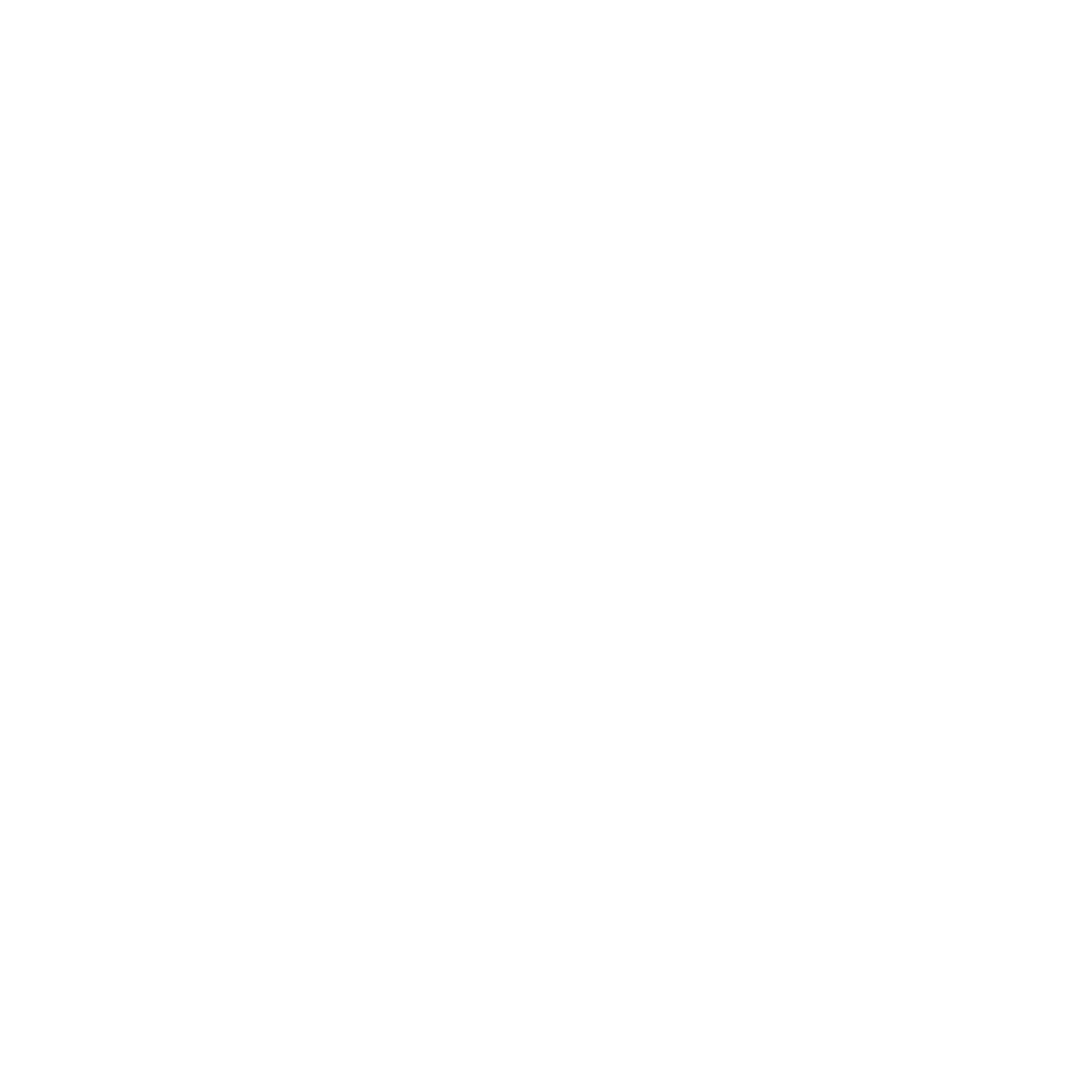 aya_segev_logo_final4